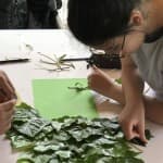 “TOKA NUK NA PËRKET NEVE, NE I PËRKASIM TOKËS”