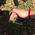 ARRITJA E KOMPETENCAVE PЁRMES VIZITAVE