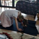 Dita 12: Shkathtësitë