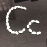 Dita 15: Gjuhë angleze dhe gjuhë gjermane