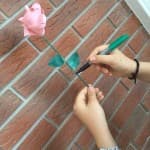 Dita 16: Shkencat Natyrore