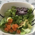 Dita 16: Shkencat Natyrore