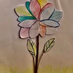 Dita 16: Shkencat Natyrore