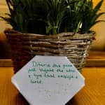 Dita 17: Shkencat Shoqërore