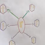 Dita 17: Shkencat Shoqërore