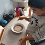 Dita 17: Shkencat Shoqërore