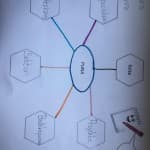 Dita 17: Shkencat Shoqërore