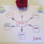 Dita 17: Shkencat Shoqërore