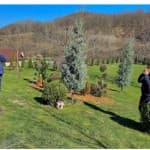 Dita 23: Shkencat Shoqërore