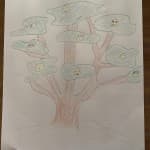 Dita 24: Shkathtësitë