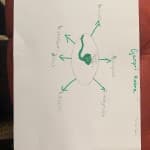 Dita 28: Shkencat Natyrore