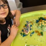 Dita 28: Shkencat Natyrore