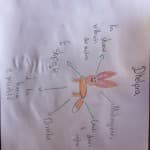 Dita 28: Shkencat Natyrore