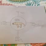 Dita 28: Shkencat Natyrore