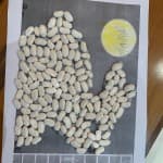 Dita 32: Matematikë dhe Informatikë