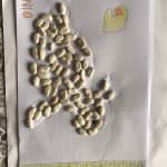 Dita 32: Matematikë dhe Informatikë