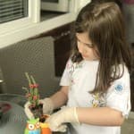 Dita 33: 22 PRILLI, DITA E TOKËS