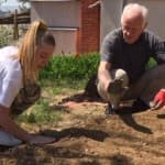 Dita 33: 22 PRILLI, DITA E TOKËS