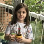 Dita 33: 22 PRILLI, DITA E TOKËS