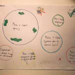 Dita 34: Shkencat Natyrore