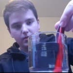 Dita 34: Shkencat Natyrore