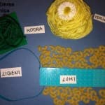 Dita 46: Shkencat Natyrore