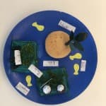 Dita 46: Shkencat Natyrore