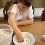 Dita 47: Shkencat shoqërore