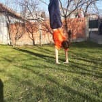 Dita 6: Shkathtësitë