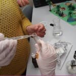 Hulumtimi i veprimit të amilazës në amidon