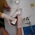 Hulumtimi i veprimit të amilazës në amidon