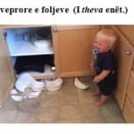 KONCEPTE GJUHËSORE E LETRARE PËRMES FOTOGRAFIVE