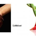 KONCEPTE GJUHËSORE E LETRARE PËRMES FOTOGRAFIVE