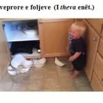 KONCEPTE GJUHËSORE E LETRARE PËRMES FOTOGRAFIVE