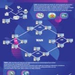 Llojet e Rrjetave në Internet