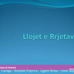 Llojet e Rrjetave në Internet