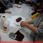 Organet e ekskretimit – Veshkët