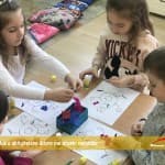 Përmbledhje e aktiviteteve ditore me grupin parafillor