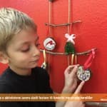 Përmbledhje e aktiviteteve javore gjatë festave të fundvitit me grupin parafillor