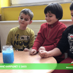 Përmbledhje e aktiviteteve javore me klasën parafillore!