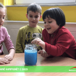 Përmbledhje e aktiviteteve javore me klasën parafillore!