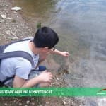 PËRMES VIZITAVE ARRIJMË KOMPETENCAT