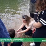 PËRMES VIZITAVE ARRIJMË KOMPETENCAT