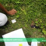 PËRMES VIZITAVE ARRIJMË KOMPETENCAT