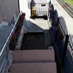 Pranvera sërish do të vijë bashkë me lumturinë