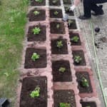 Pranvera sërish do të vijë bashkë me lumturinë