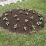 Pranvera sërish do të vijë bashkë me lumturinë