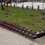 Pranvera sërish do të vijë bashkë me lumturinë