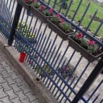 Pranvera sërish do të vijë bashkë me lumturinë