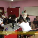 Projektet modulare – Profesionet